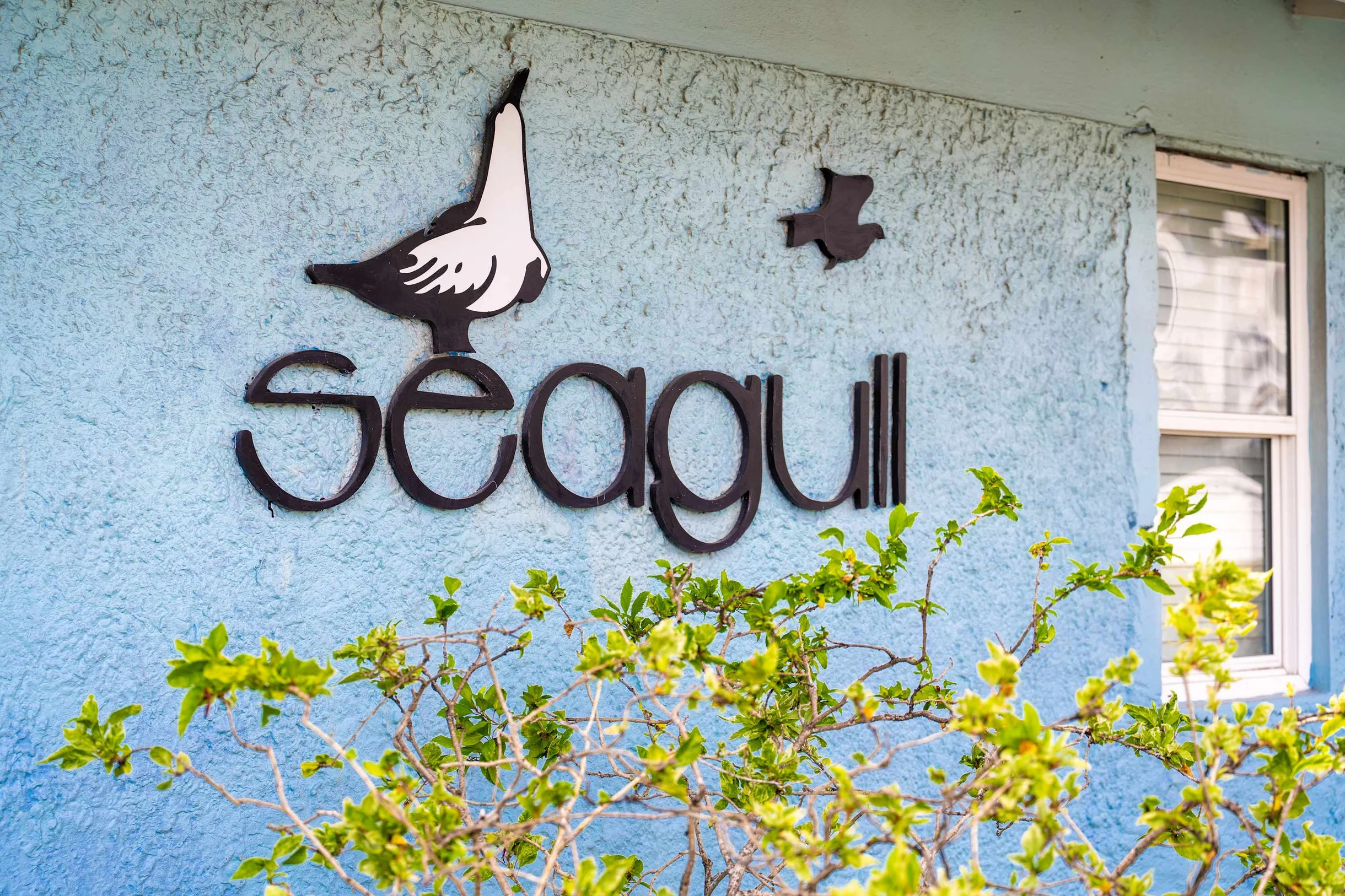 Hideway Seagull 25 #30