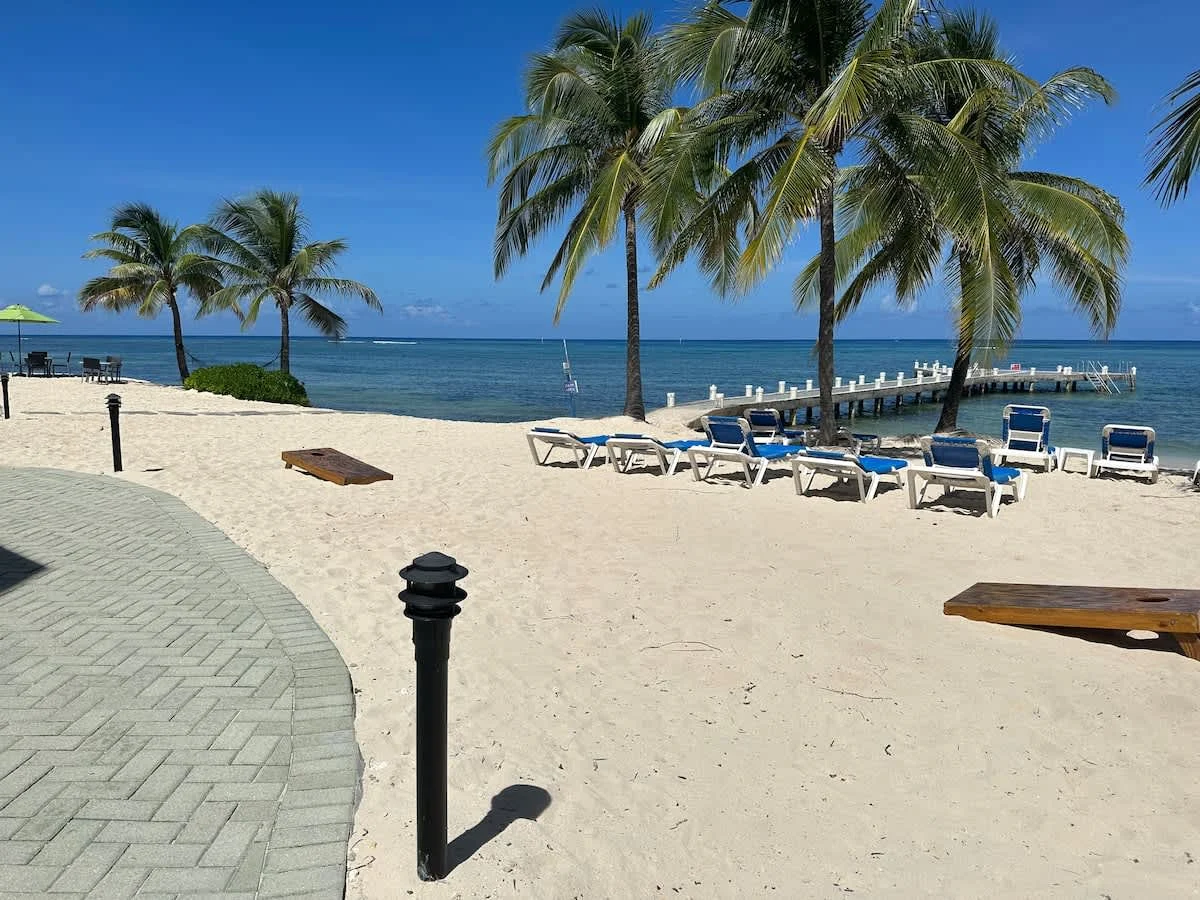 Oceanfront Paradise #44
