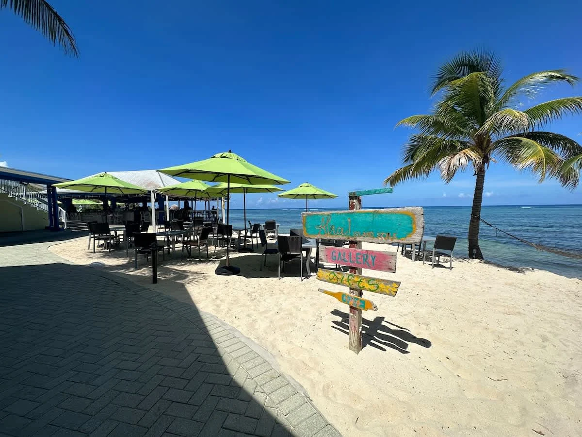 Oceanfront Paradise #40