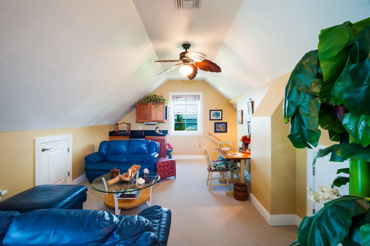Parrot-ise Villa #5