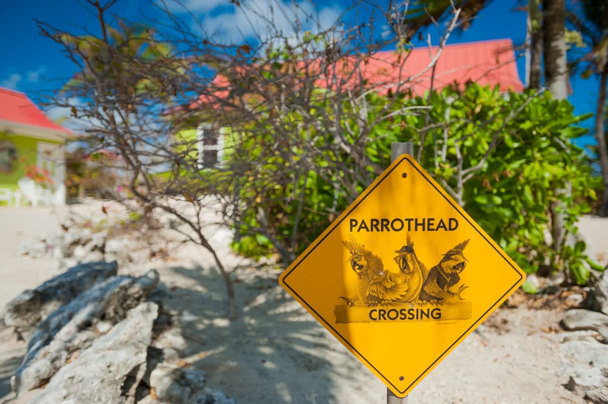 Parrot-ise Villa #20