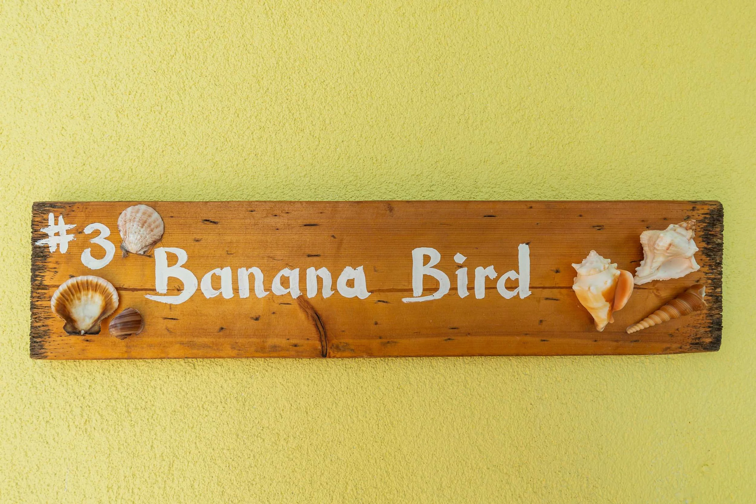 The Banana Bird #3