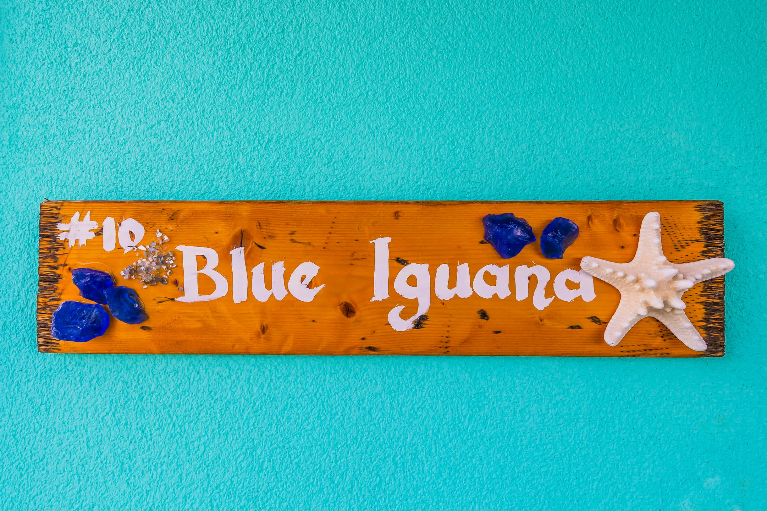The Blue Iguana #39
