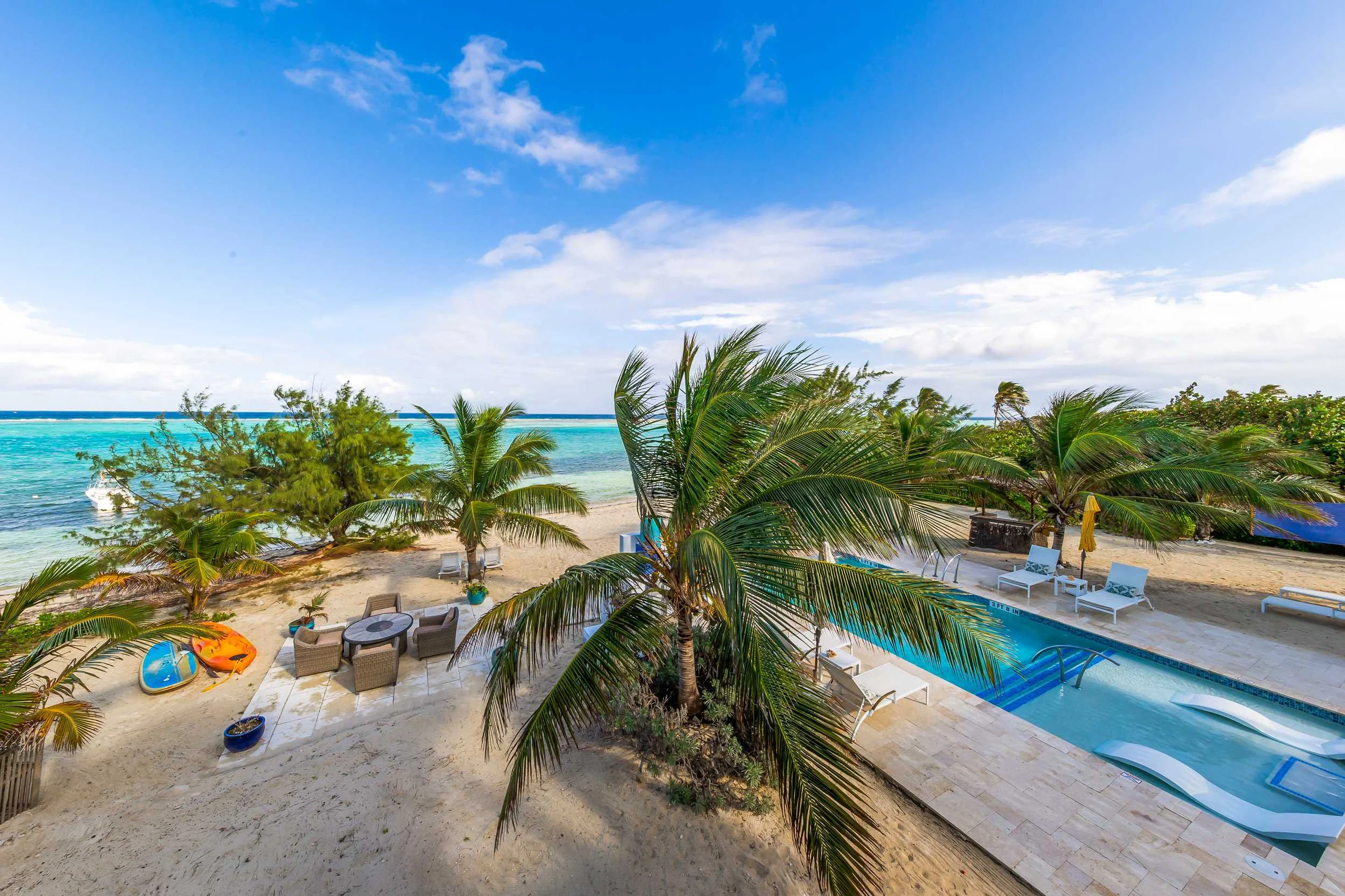 The Blue Iguana #46