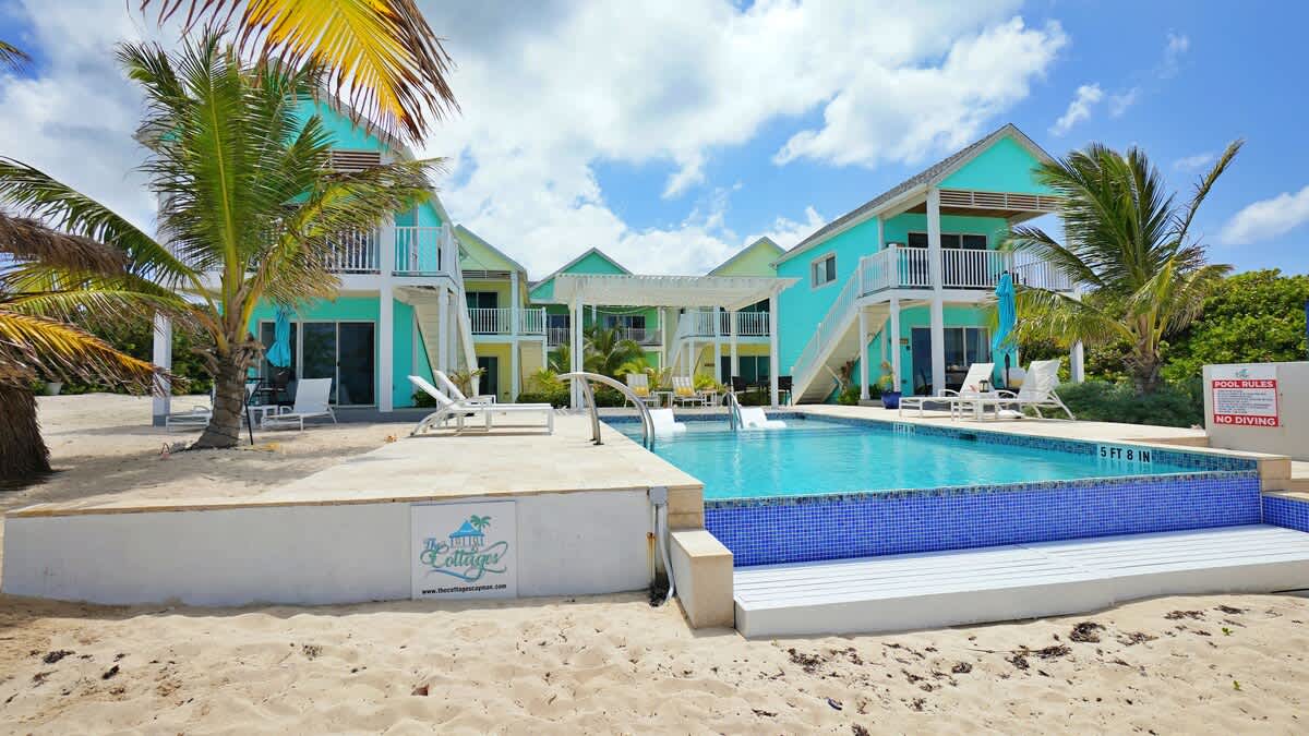 The Blue Iguana #14