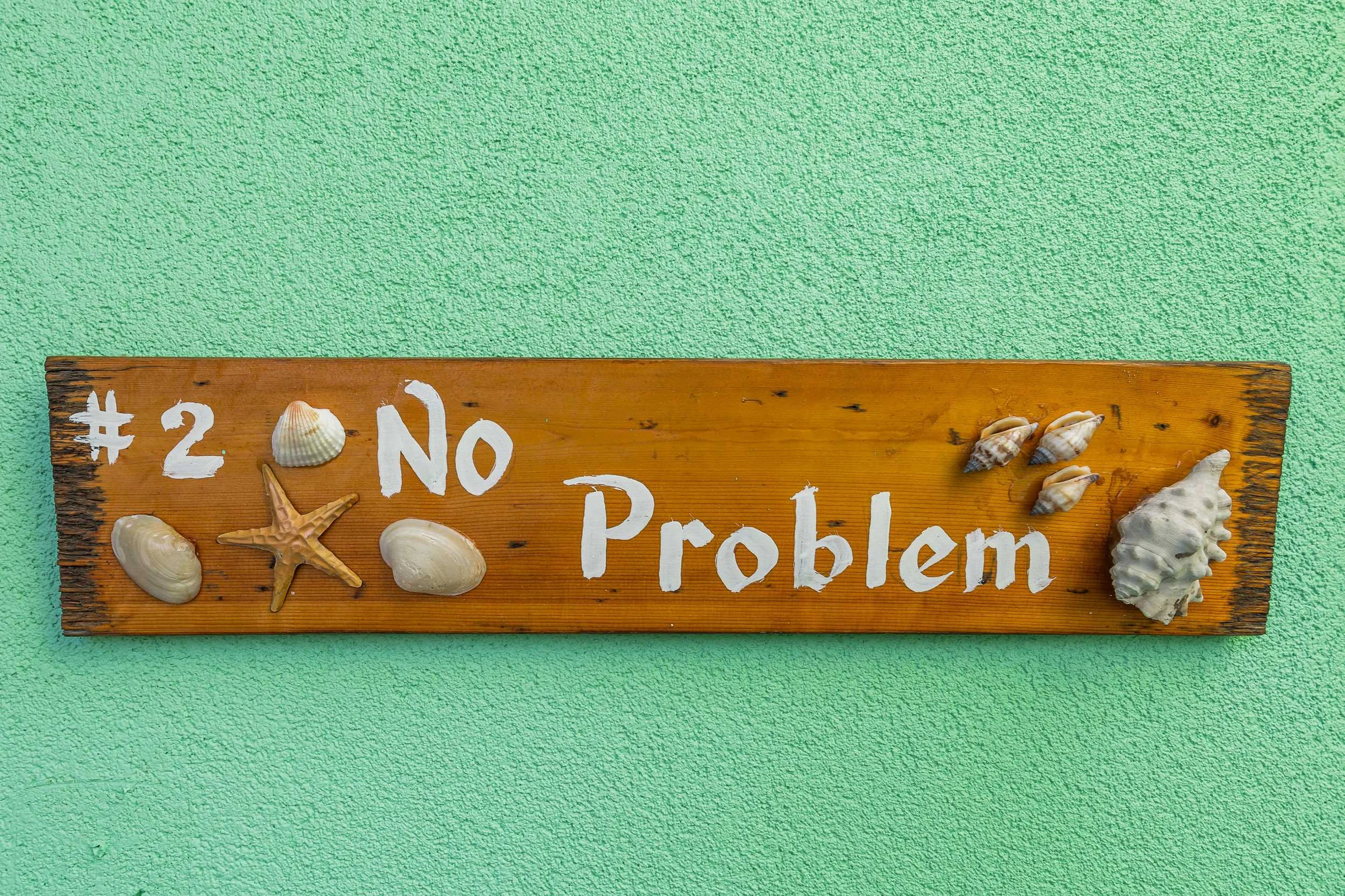 The No Problem #19