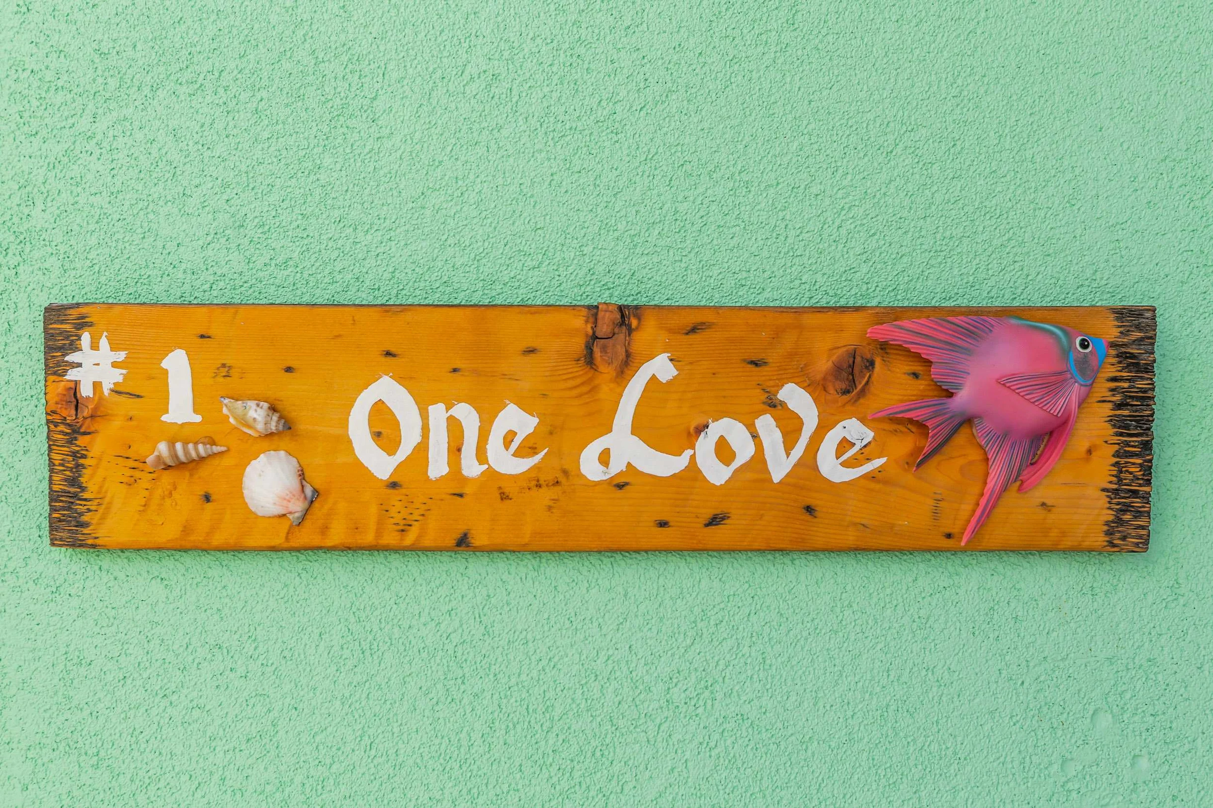 The One Love #47