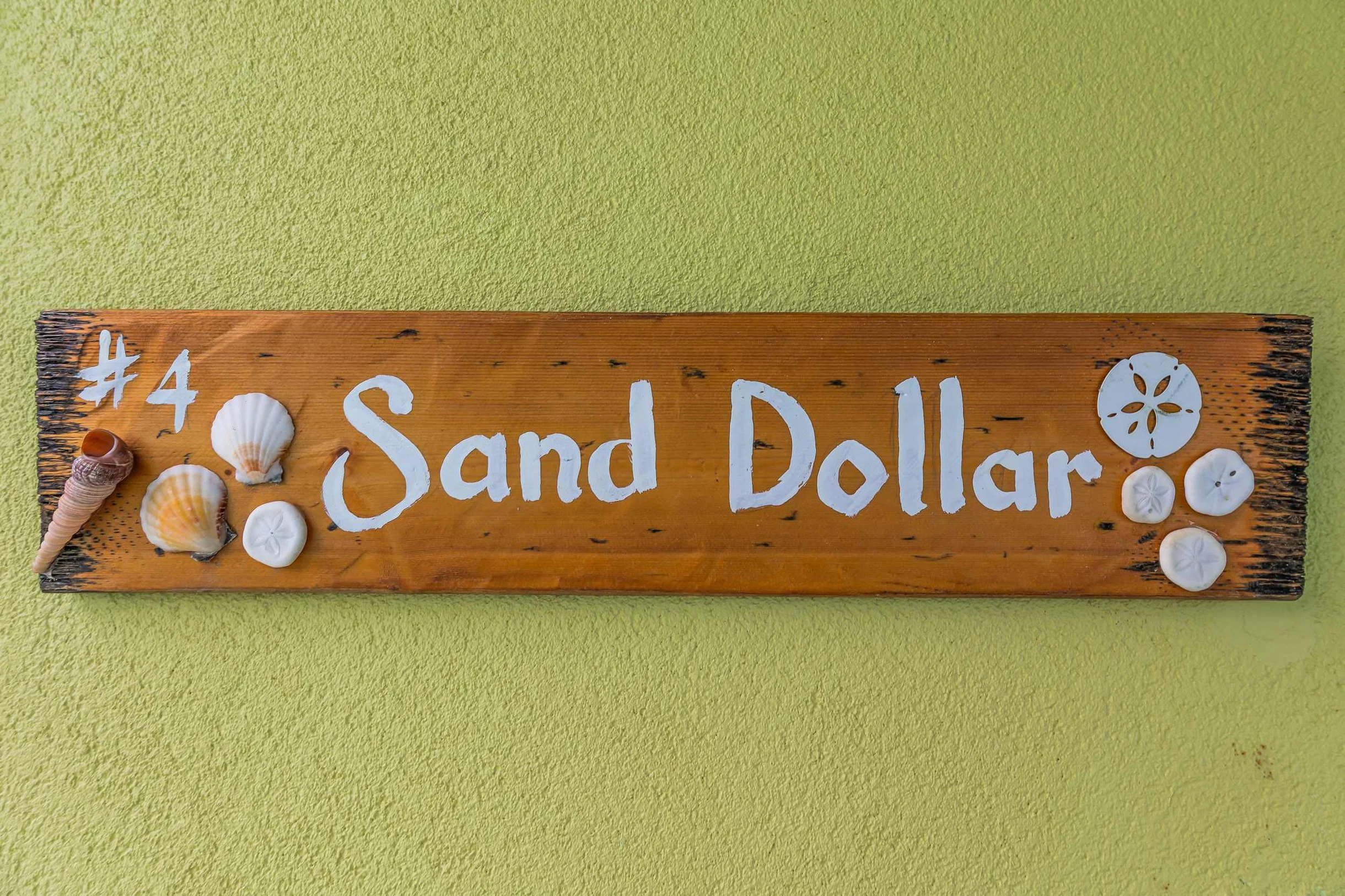 The Sand Dollar #38