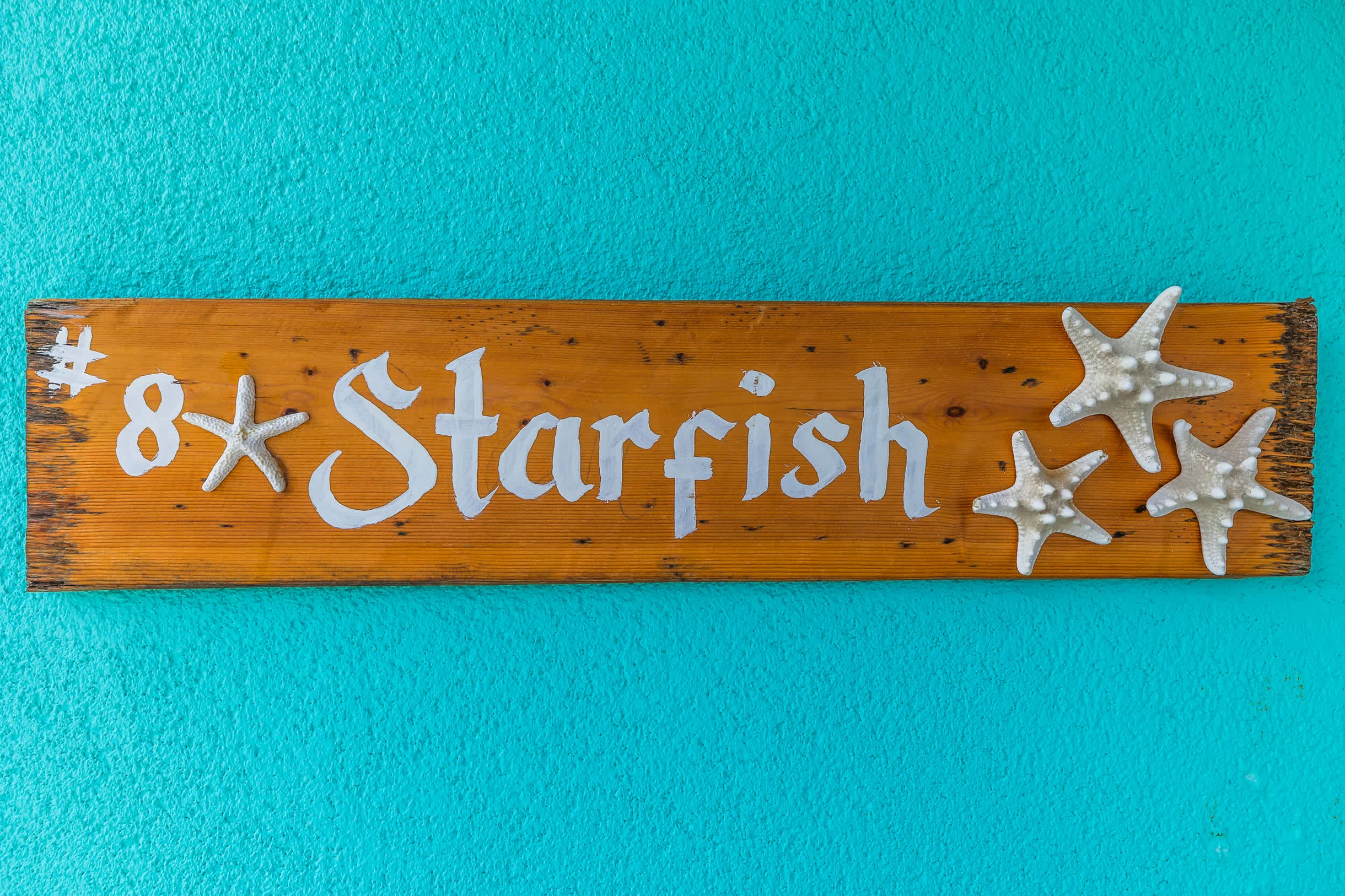 The Starfish #66