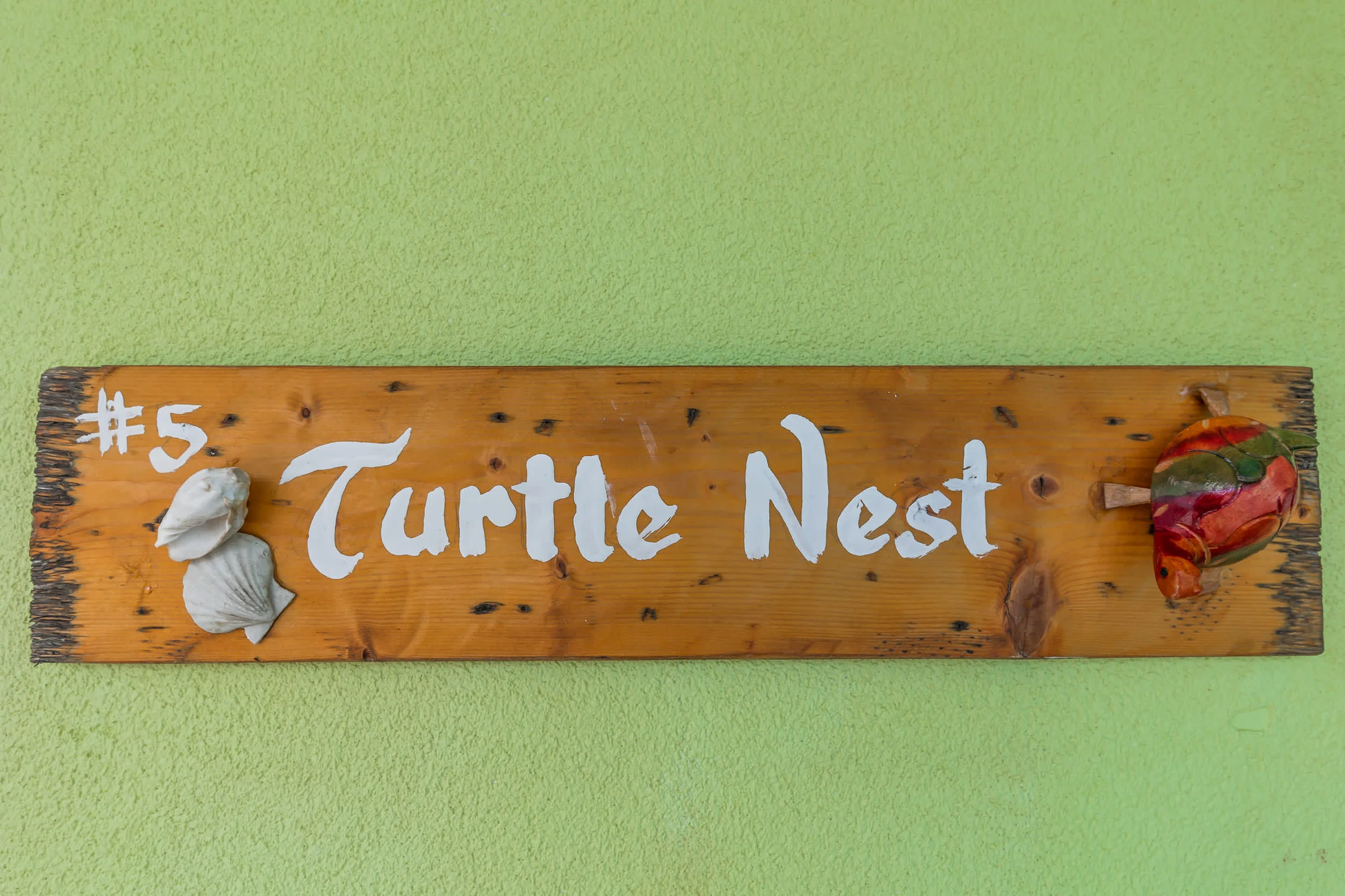 The Turtle Nest #61