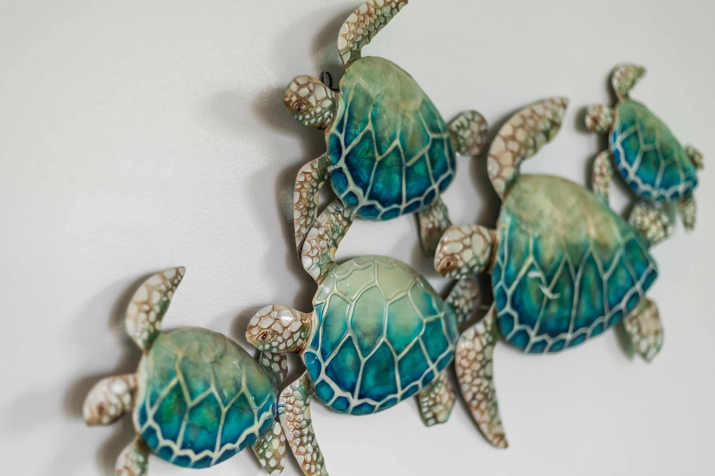 The Turtle Nest #58