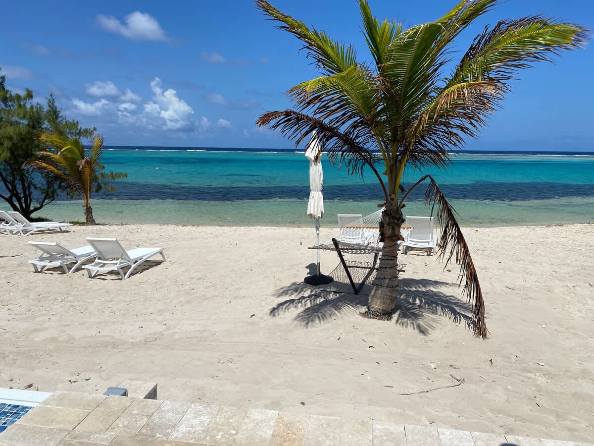 The Turtle Nest #53