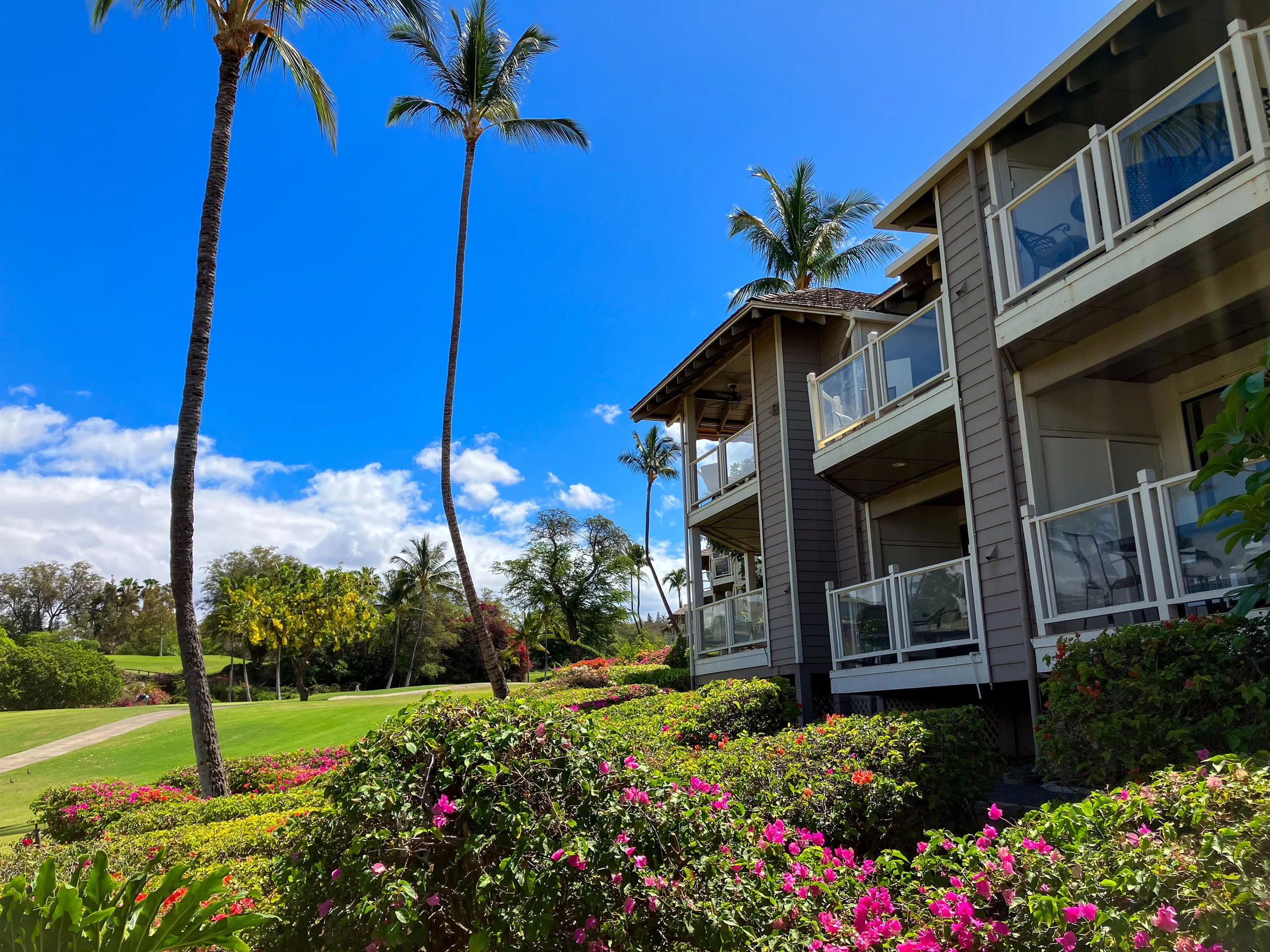 Condo in Wailea property photo 423