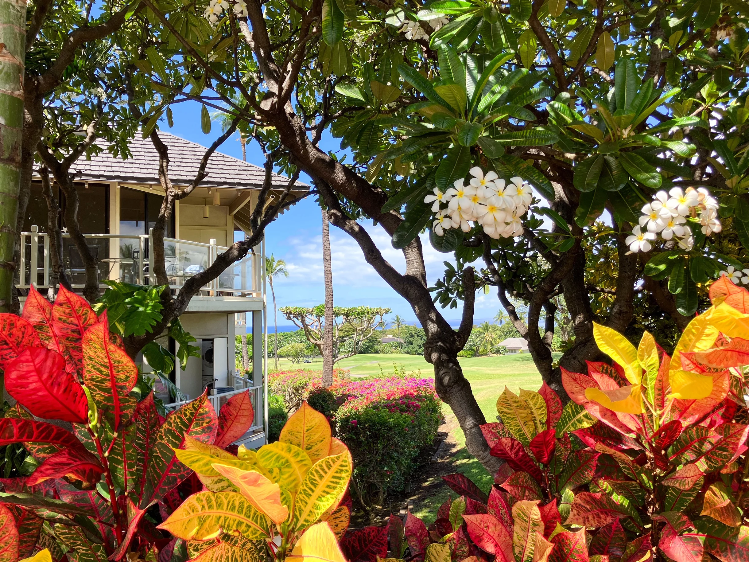 Condo in Wailea property photo 390