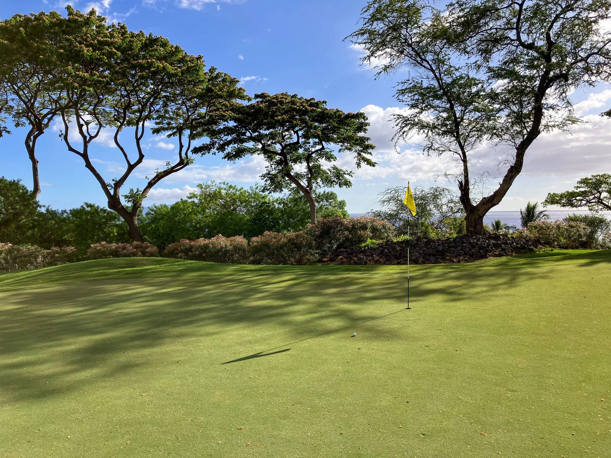 Condo in Wailea property photo 446