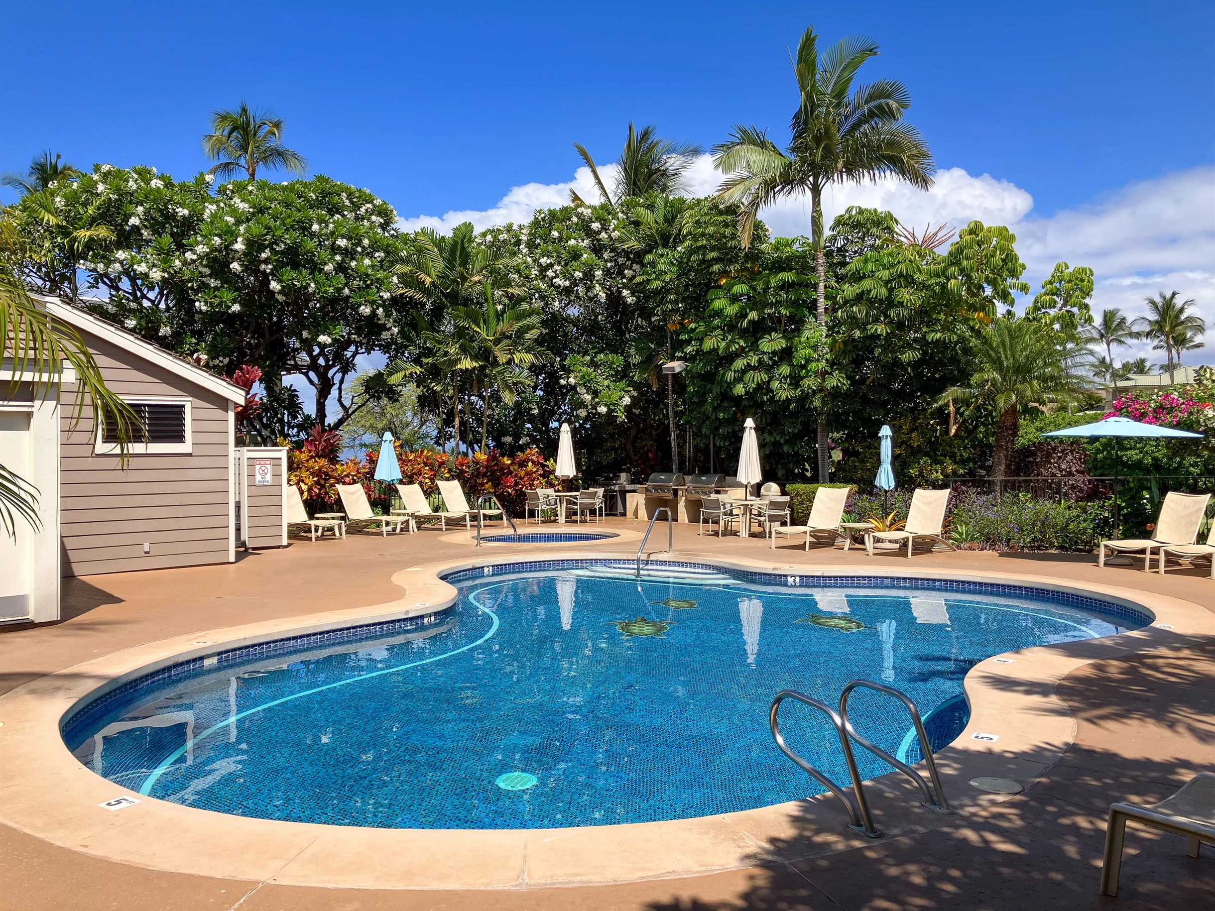 Condo in Wailea property photo 514