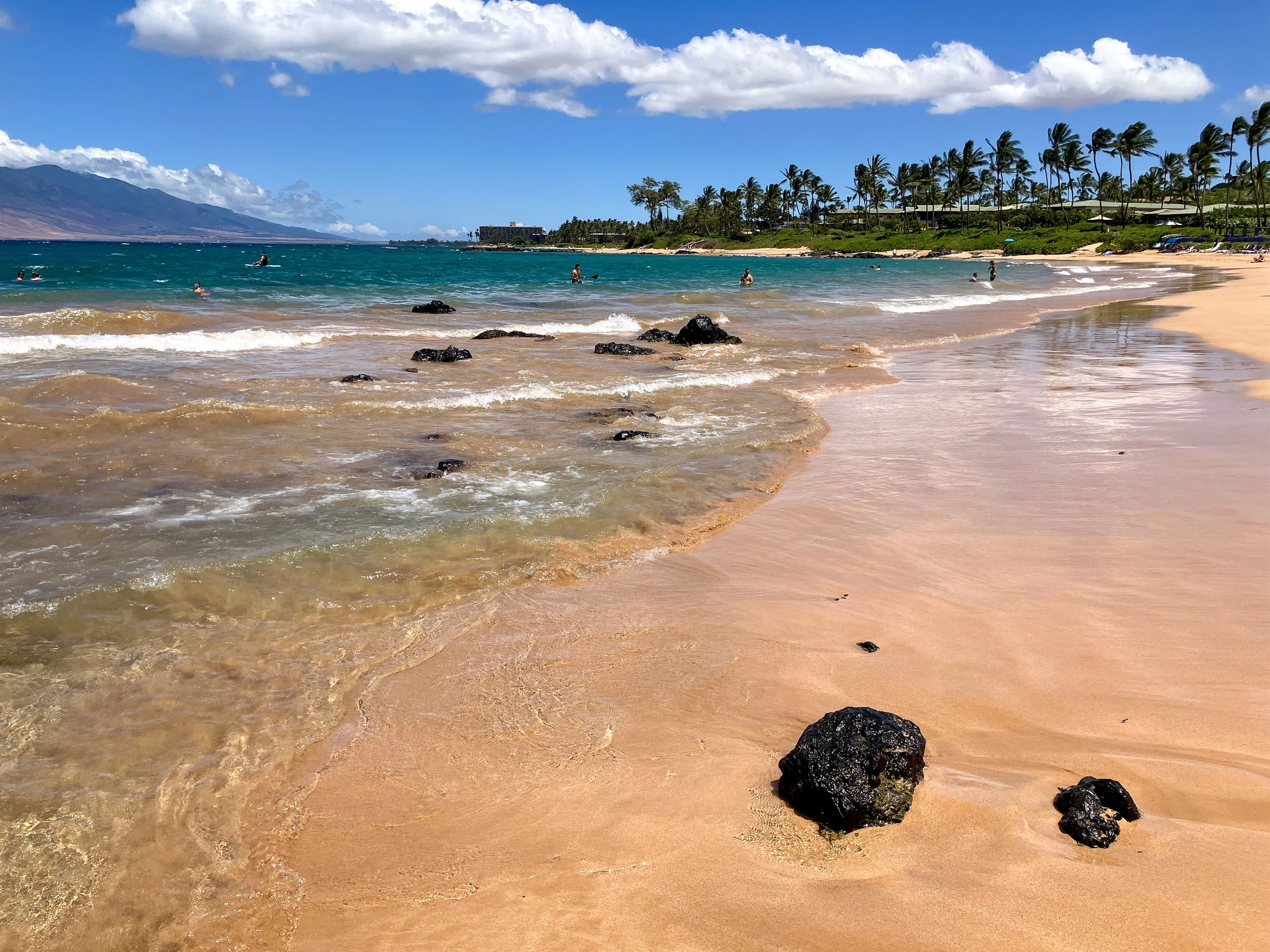 Condo in Wailea property photo 356