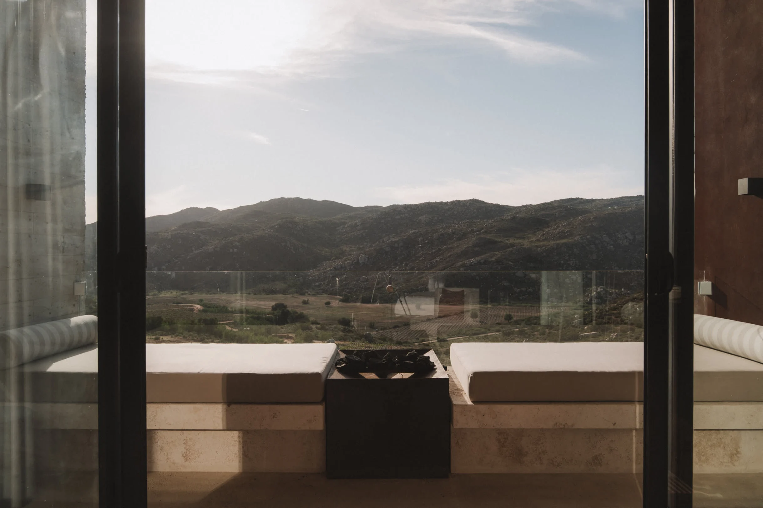 Wander Baja California Vineyards #34