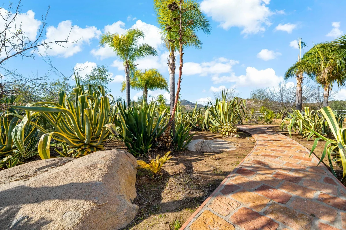 Hombre - Rancho Agave Azul #17