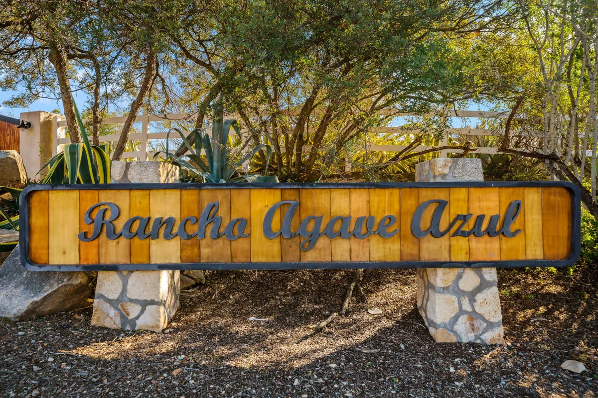 Hombre - Rancho Agave Azul #28