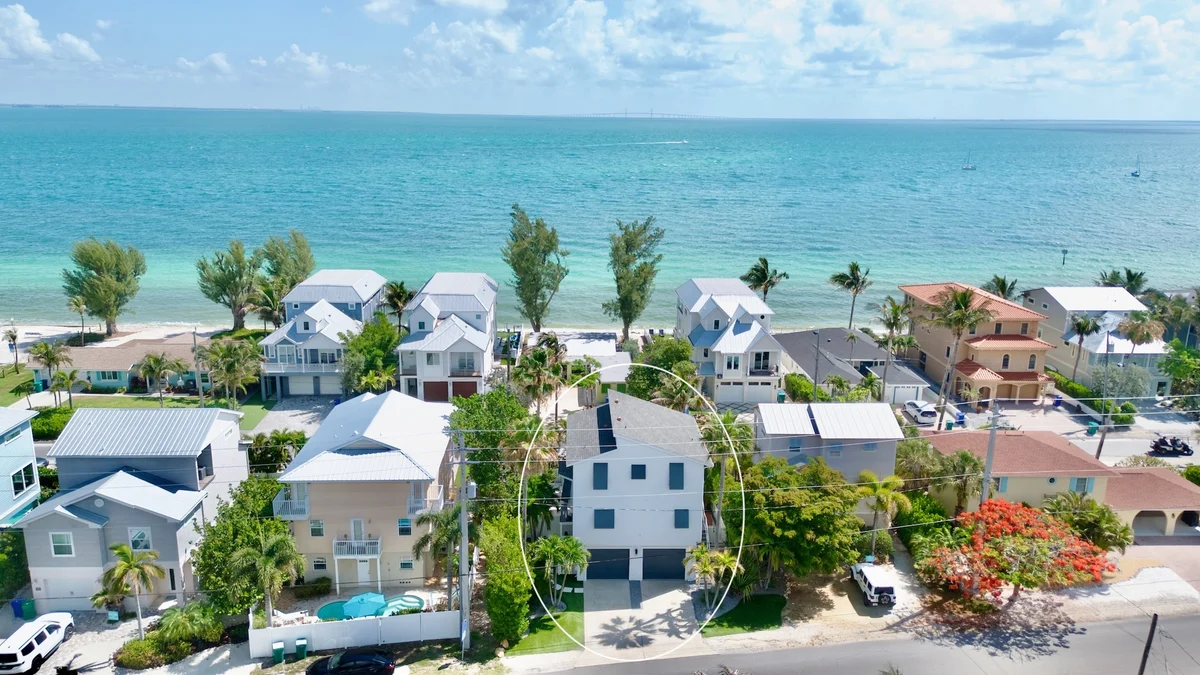 Coconut Palm Paradise #148