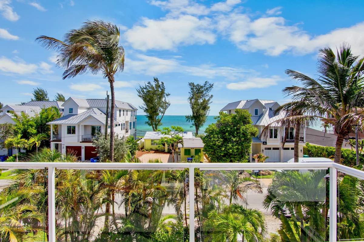 Coconut Palm Paradise #167