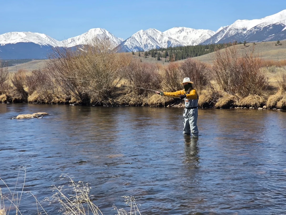 The Silver Rose of Leadville #21