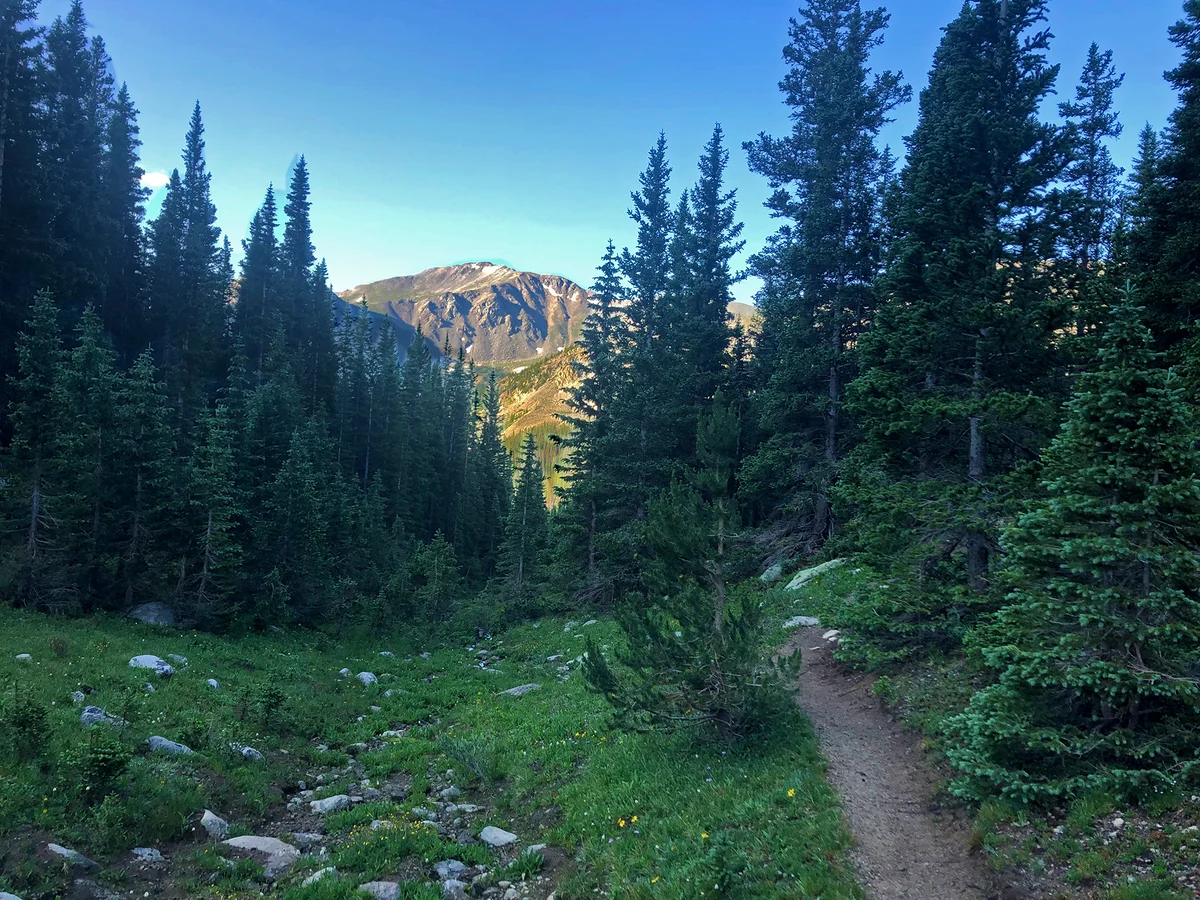 The Silver Rose of Leadville #35