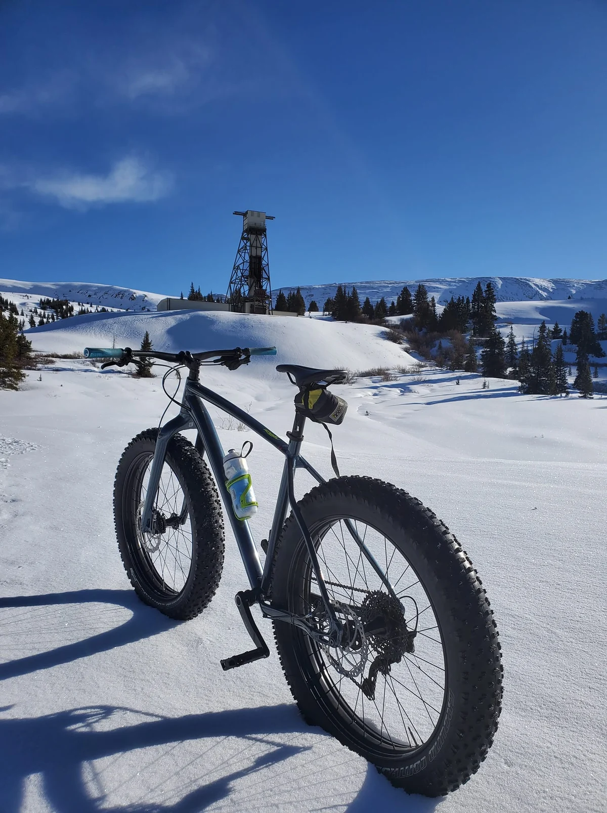 The Silver Rose of Leadville #32