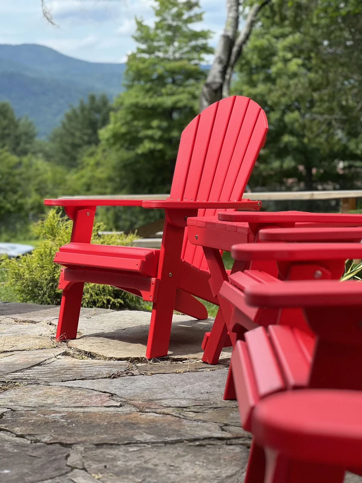 The Adirondack House #5