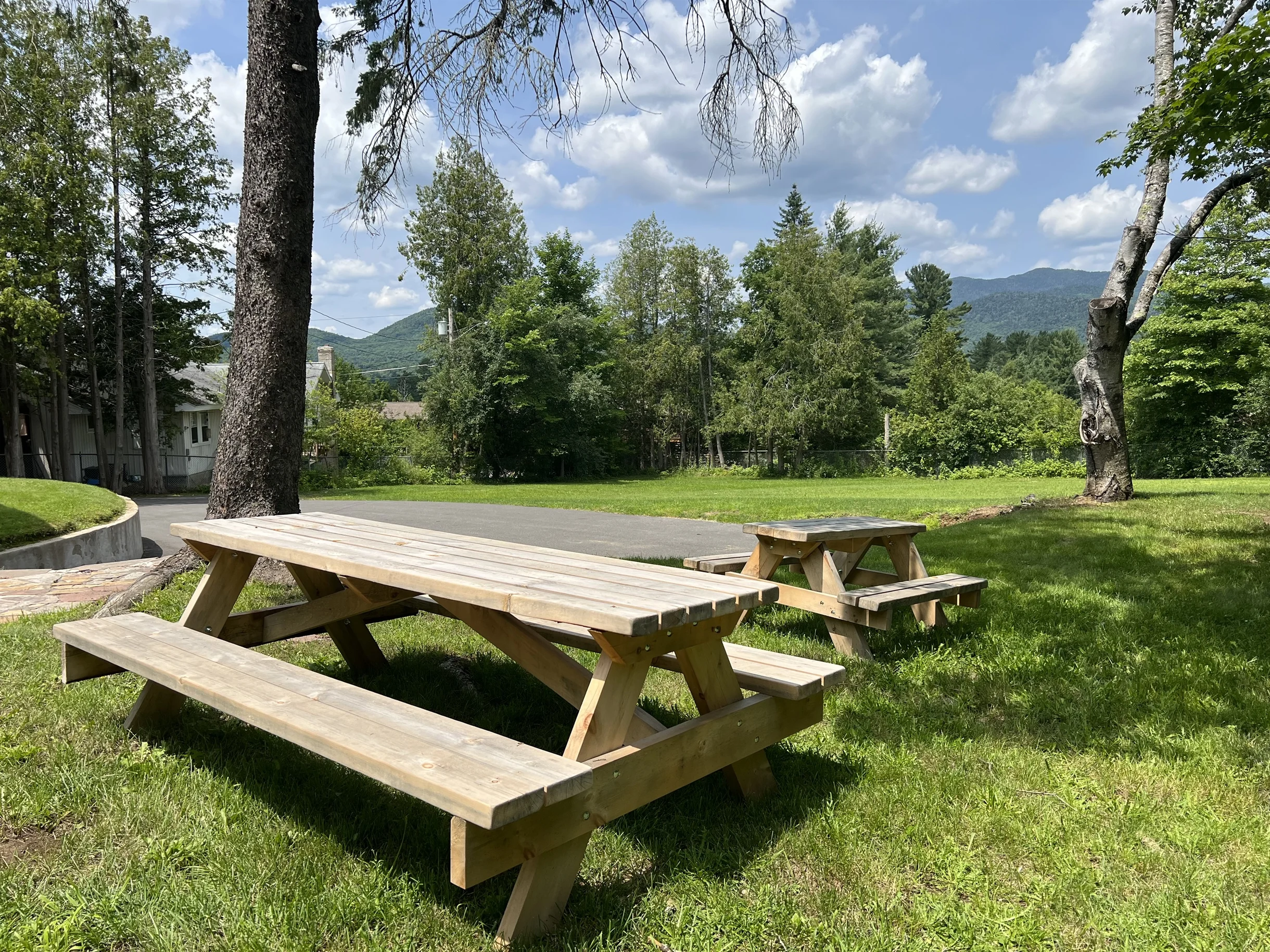 The Adirondack House #3