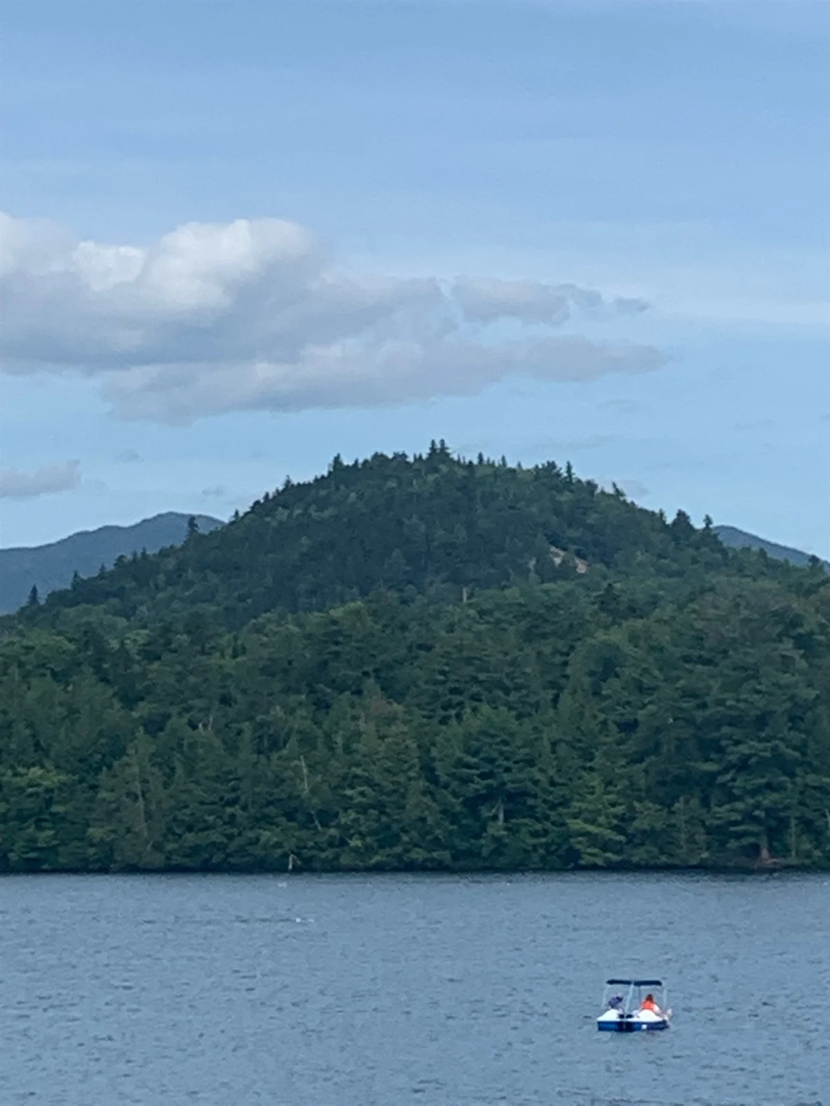 The Adirondack House #65