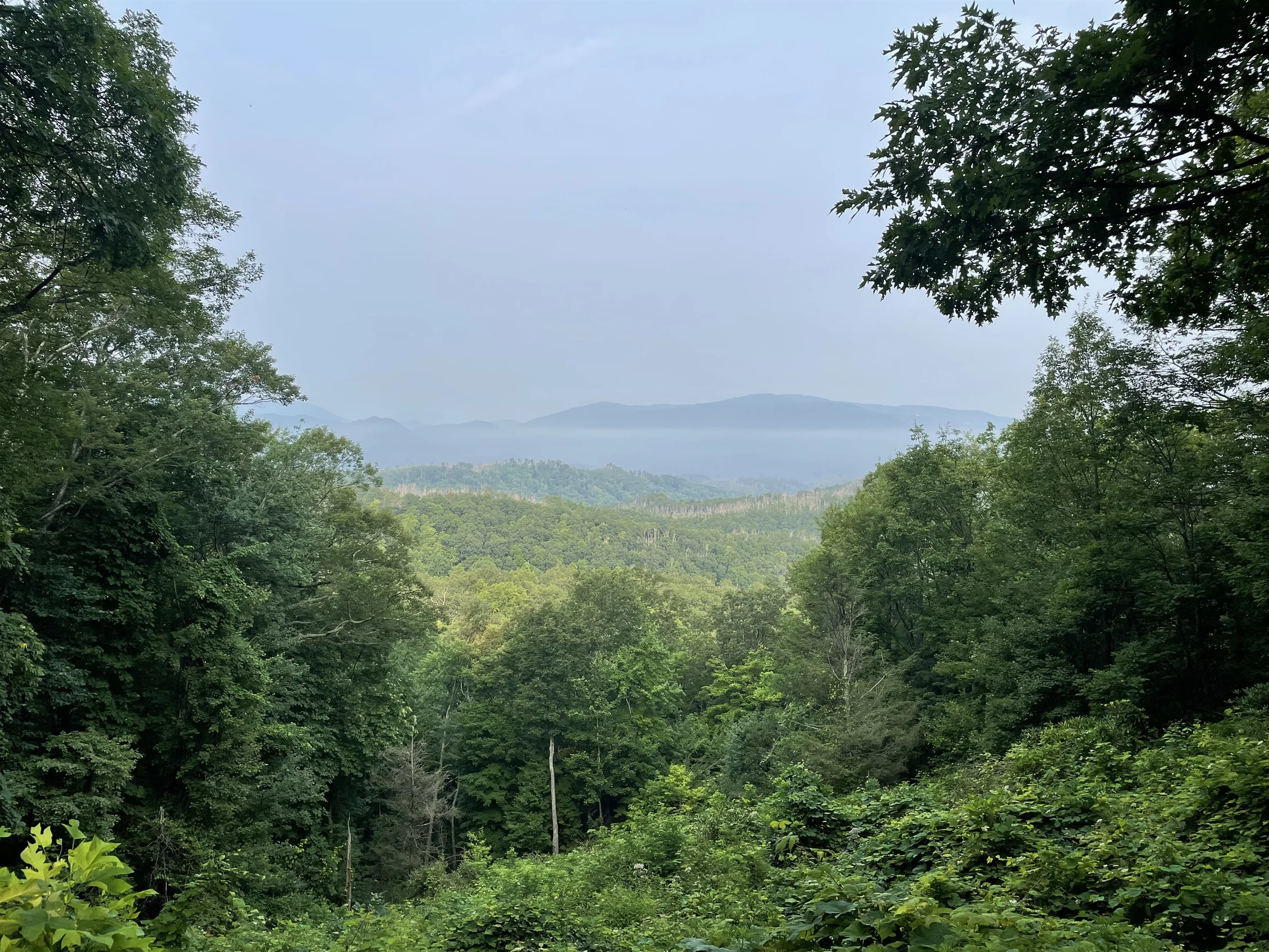 The Adirondack House #62