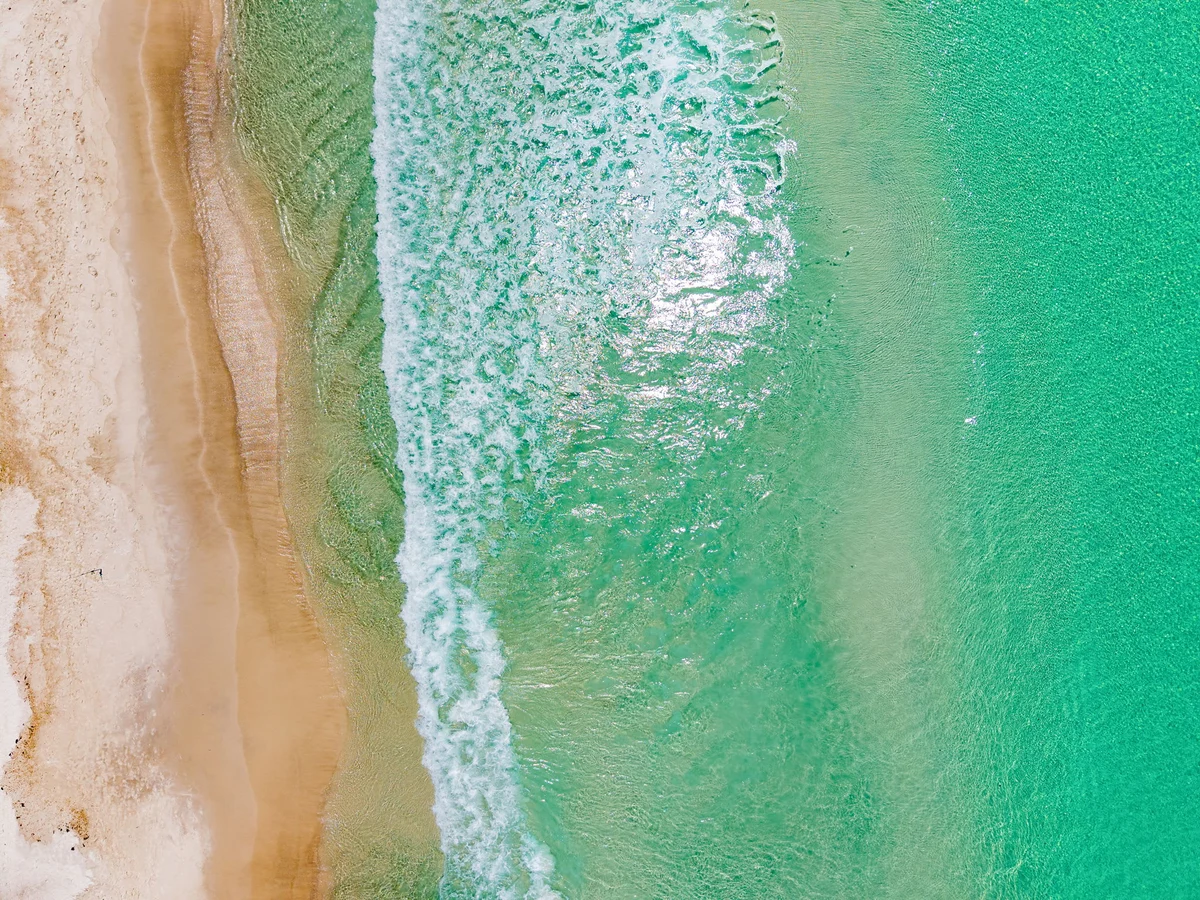 Surf House #98