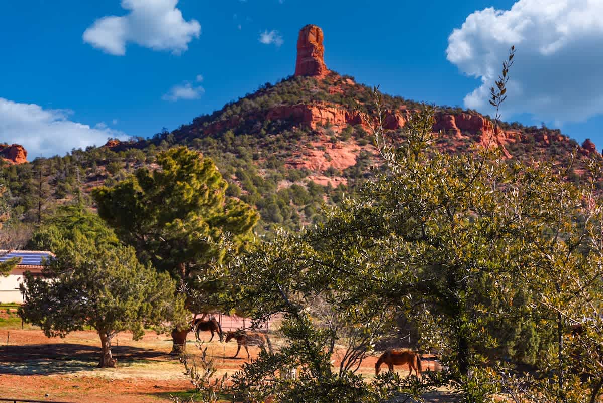 Dry Creek Sunstone #28