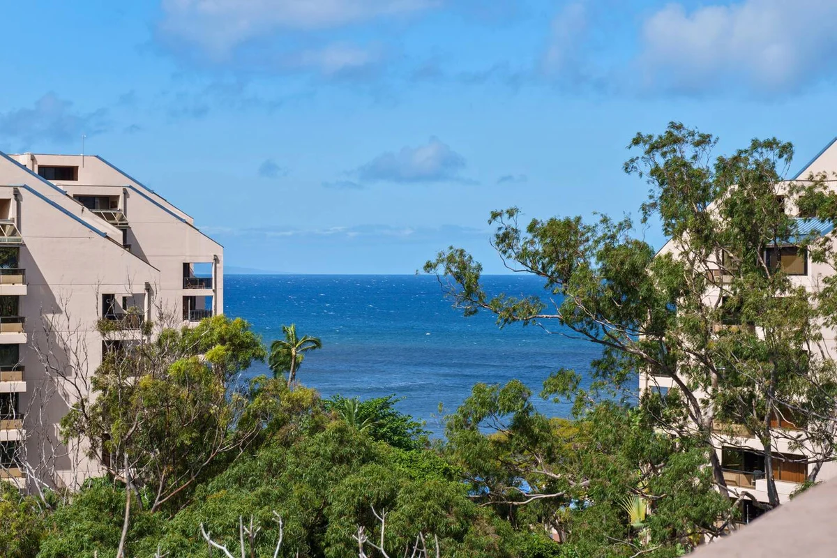 Lux Ocean View Penthouse 2 Kings+, Steps to Beach #9