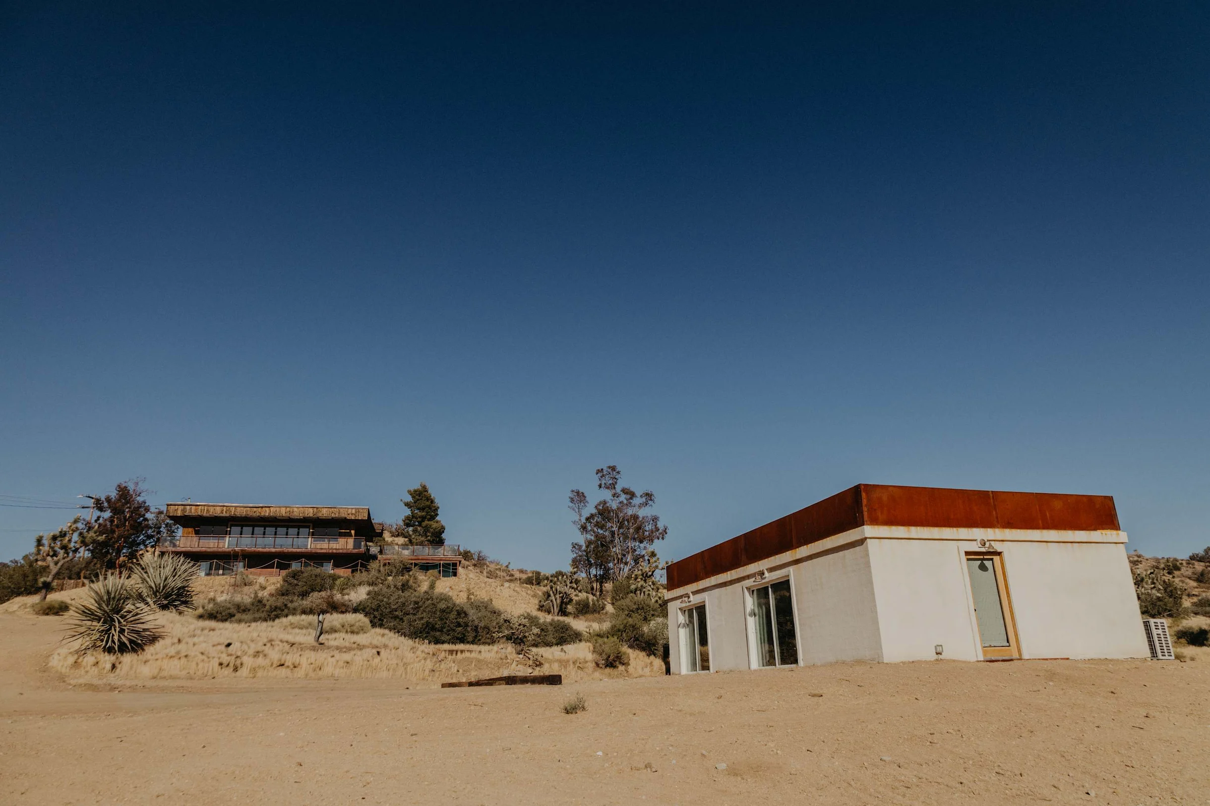Wander Joshua Tree Cosmos #81