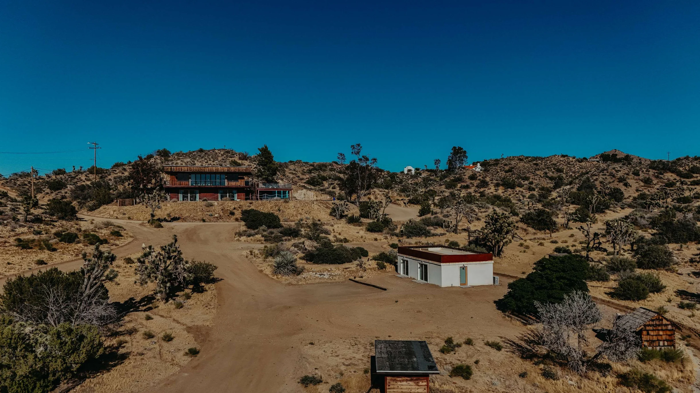 Wander Joshua Tree Cosmos #85