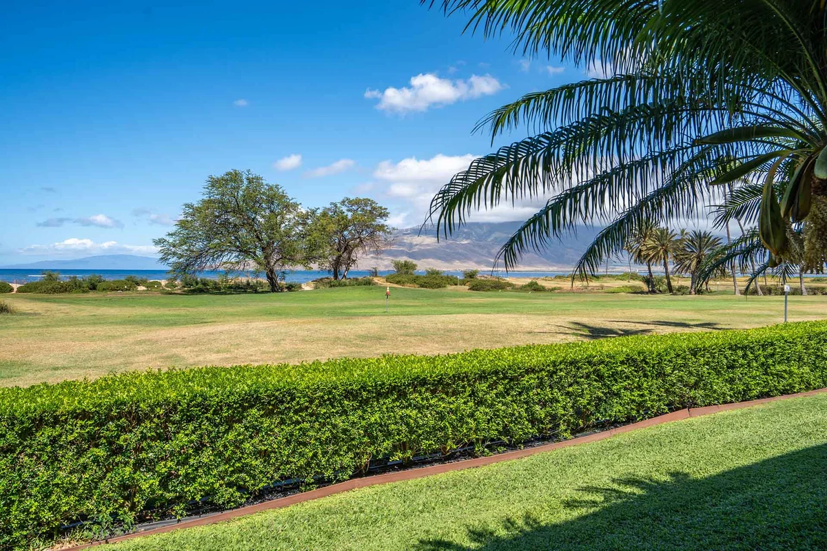 Apartment in Kihei property photo 4