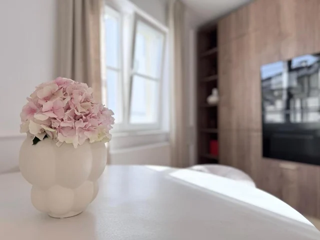 Apartment 15 #19