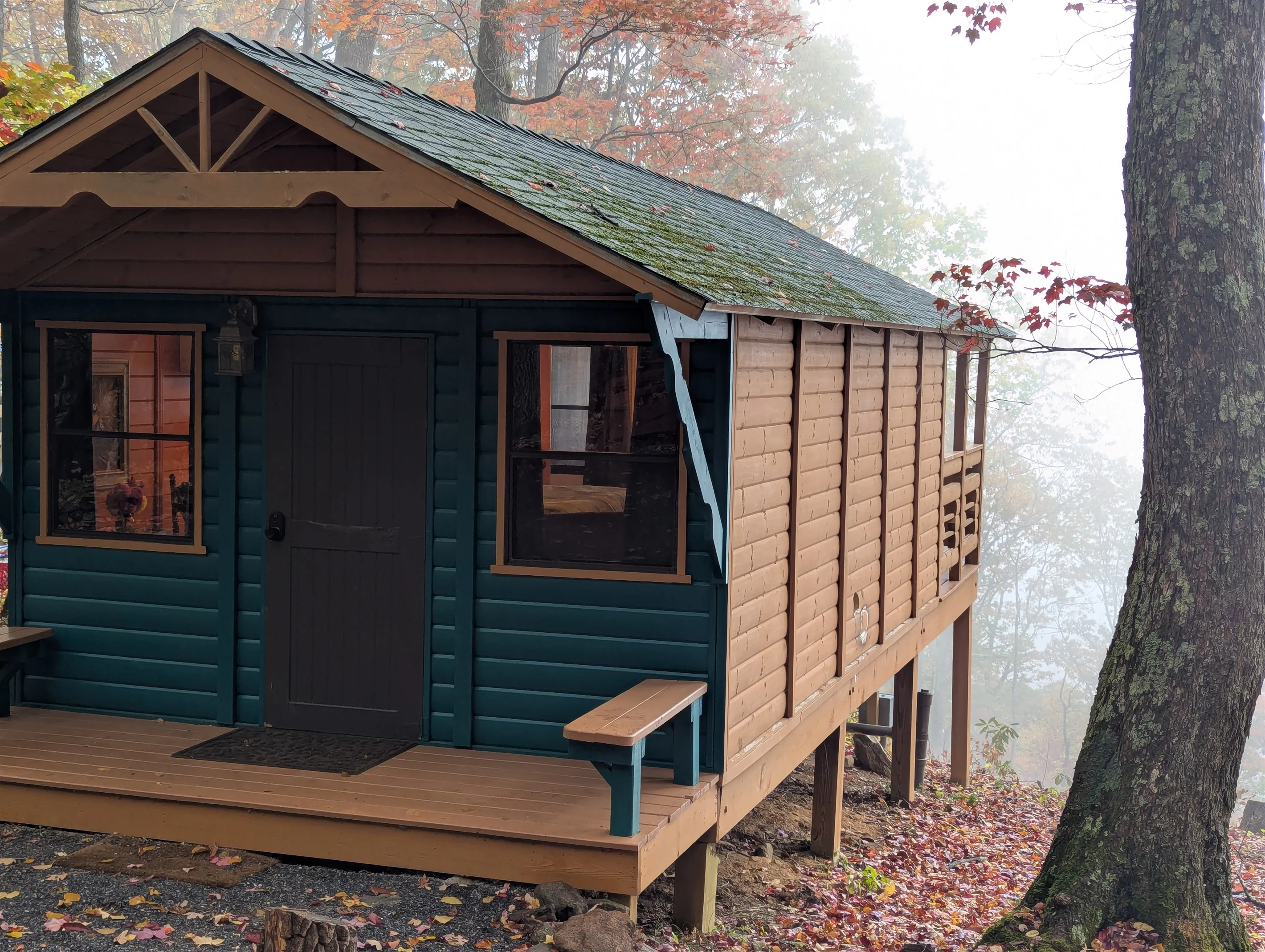 Falcon's Perch cabin with long-range mountain views
