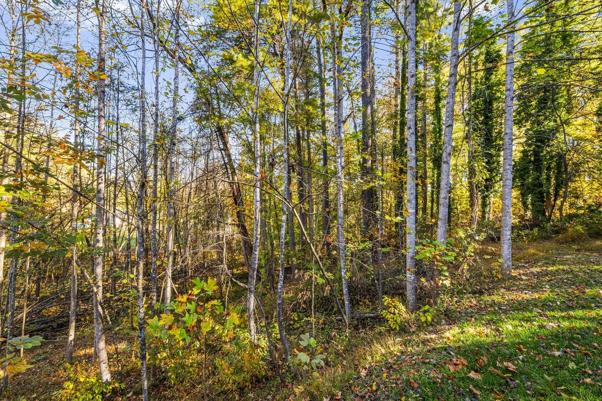 Wooded Oasis, HotTub, Sauna, GameRoom, 15min 2 AVL #120