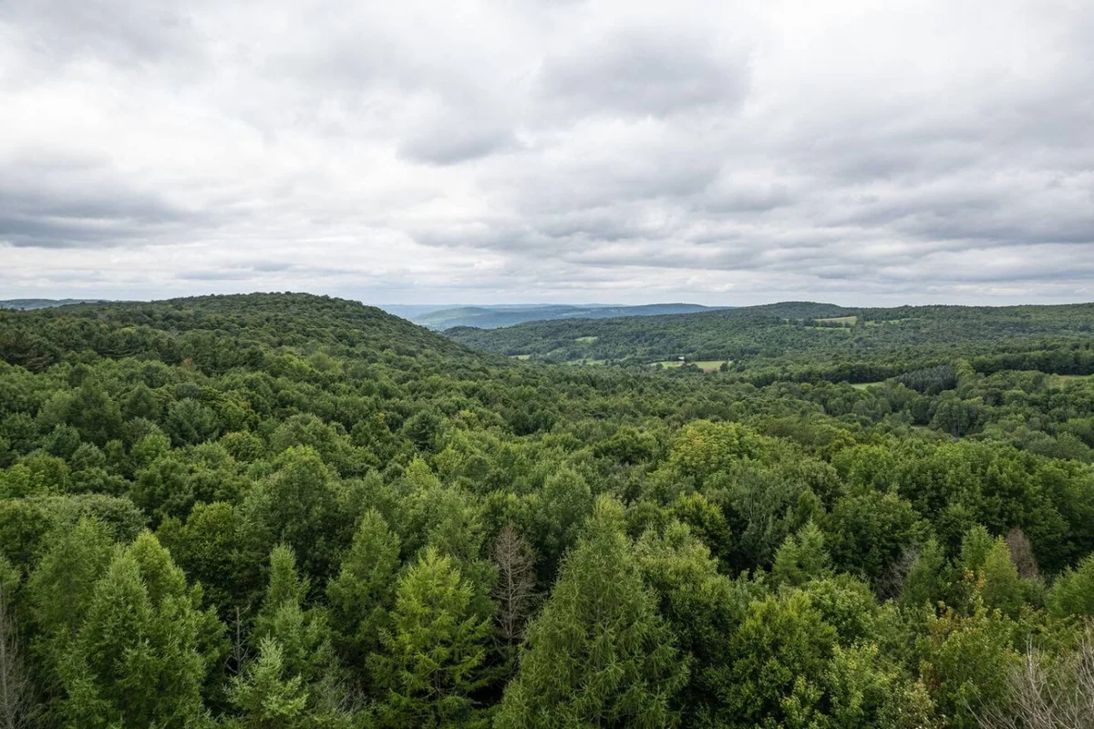 Cozy Year Round Getaway • Private Catskills Cabin #191
