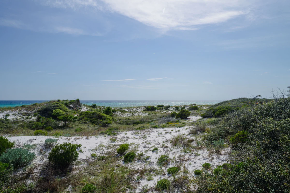 Saltwater Society #26