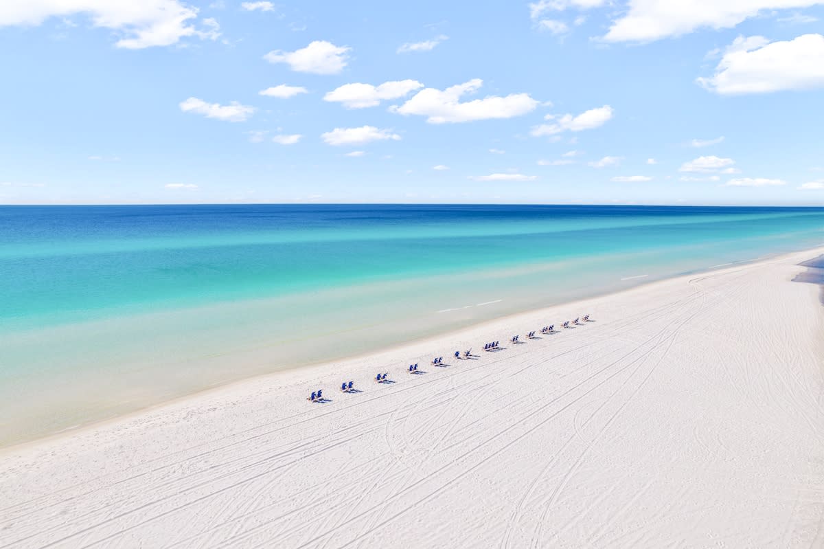 Coastal Oasis #102