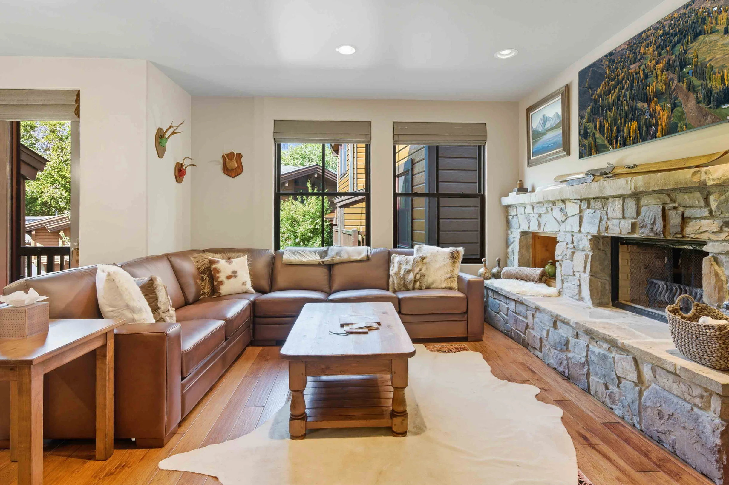 Townhome in Ketchum property photo 2