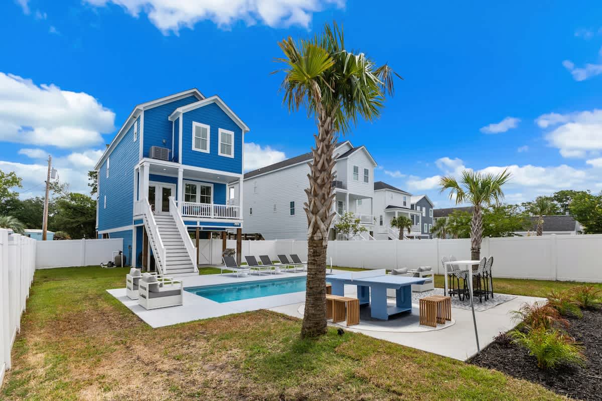 THE BLUE PALM359A #60
