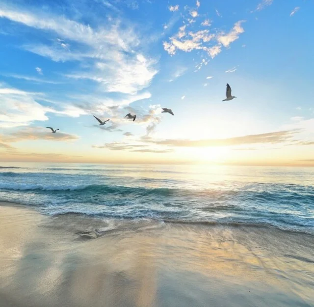 Seas The Day #44