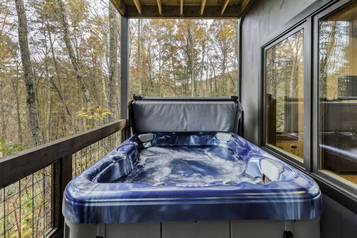 Property in Blue Ridge property photo 2