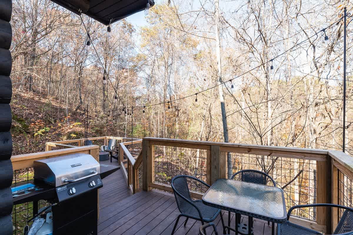 Chic Cabin w/ Fast WiFi & Fire Pit near Fun #45